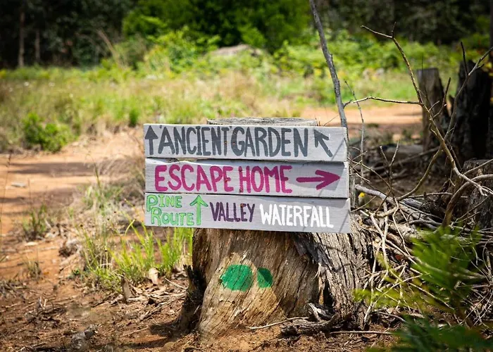 Rocks & Roses Farm Stay