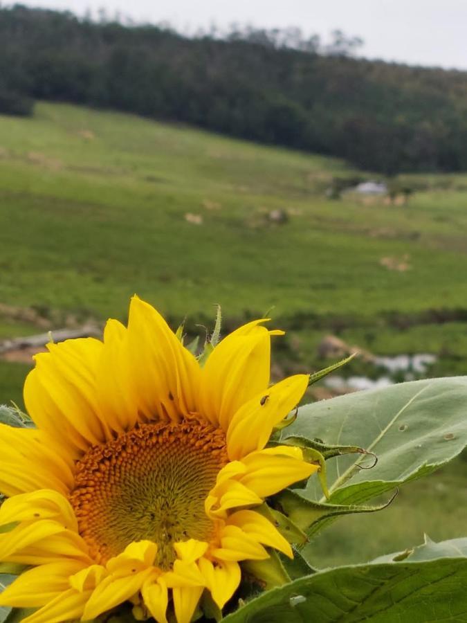 Rocks & Roses Farm Country house Lochiel