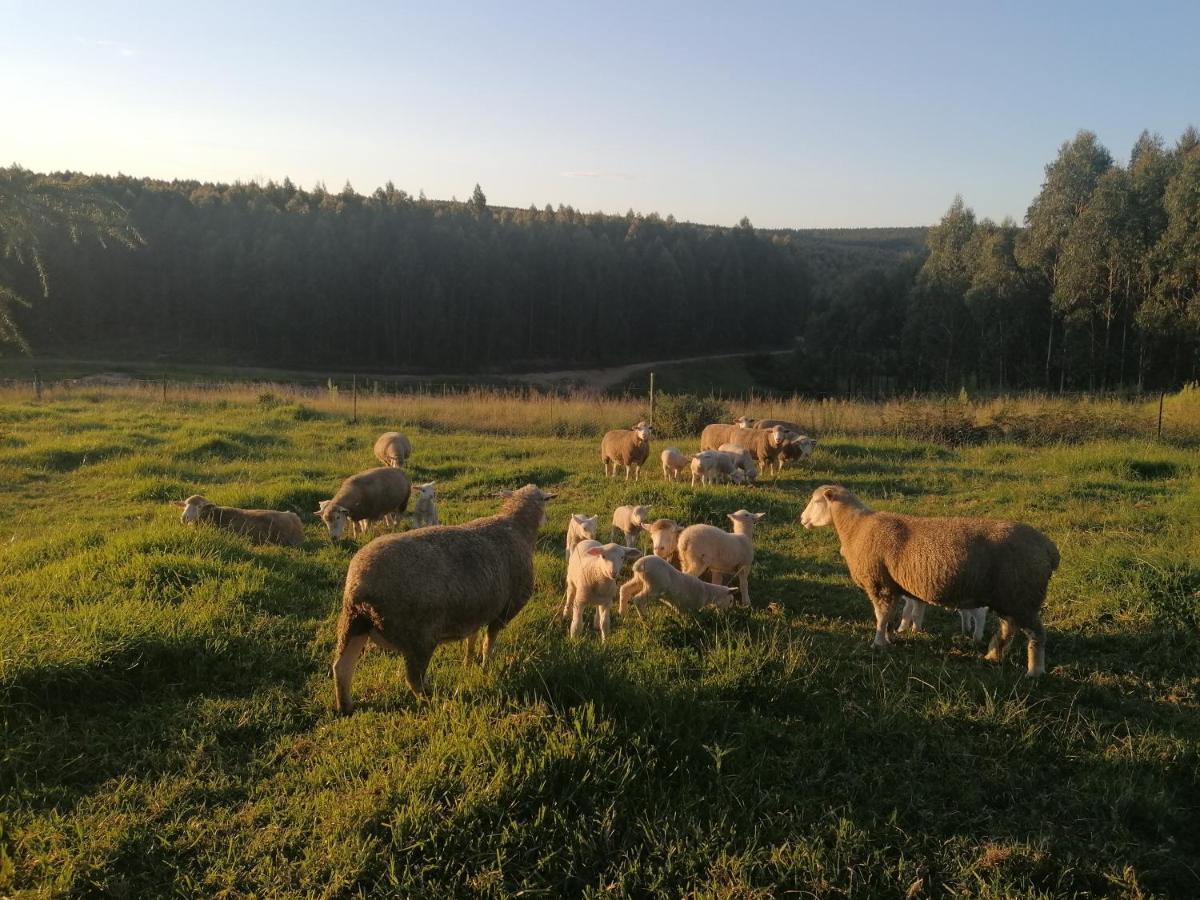 Country house Rocks & Roses Farm *