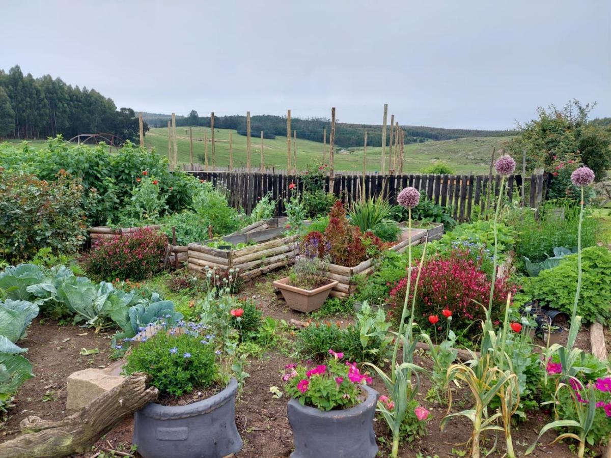 Rocks & Roses Farm
