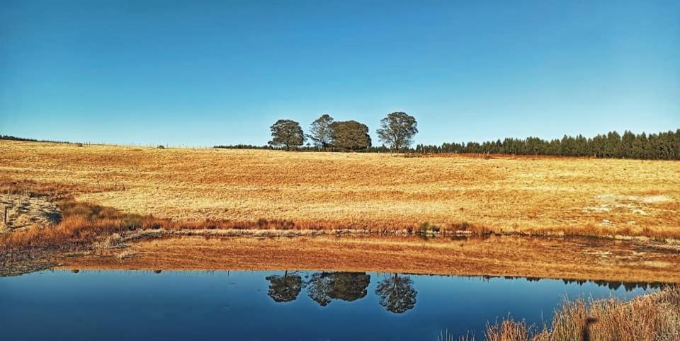 Rocks & Roses Farm Lochiel
